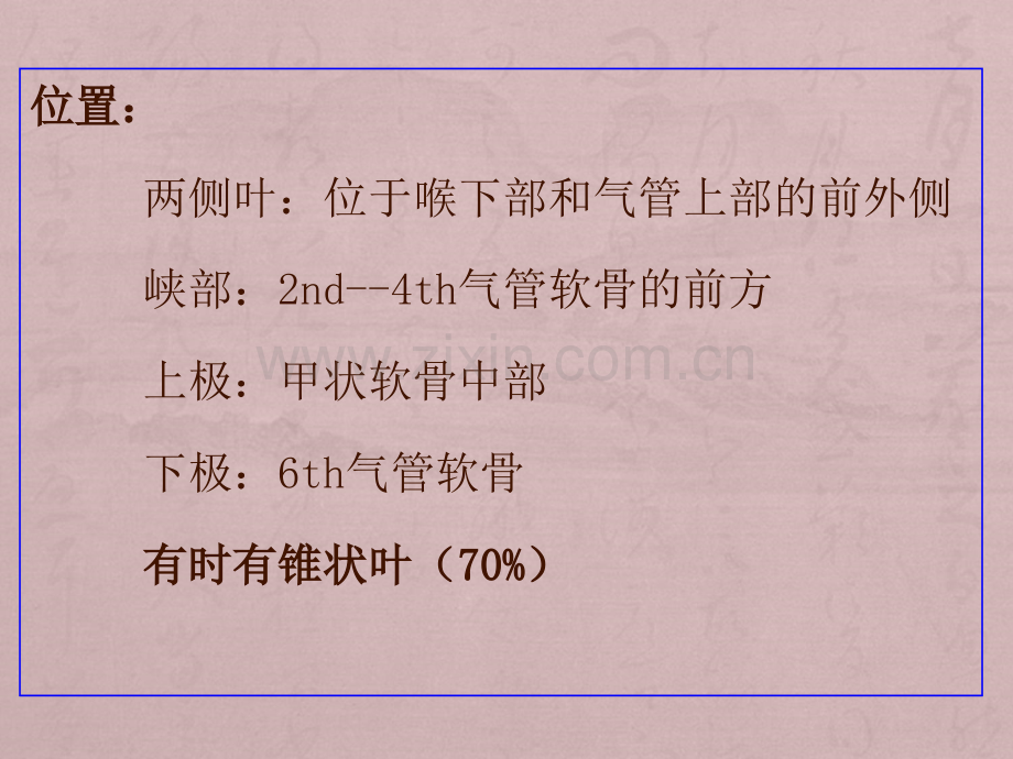 甲状腺局部解剖及临床.ppt_第3页