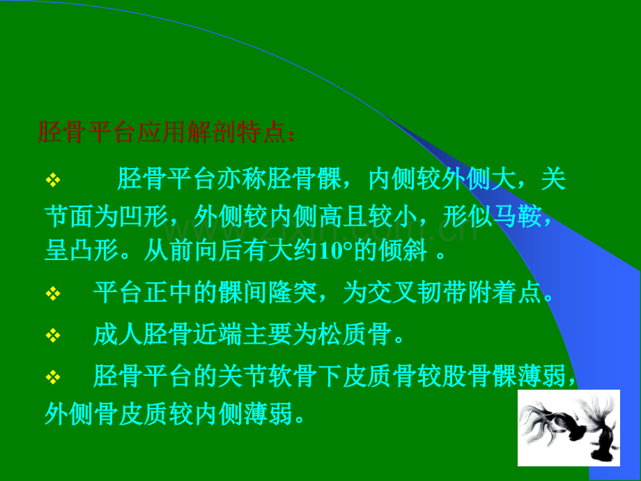 胫骨平台骨折治疗分型.ppt_第2页