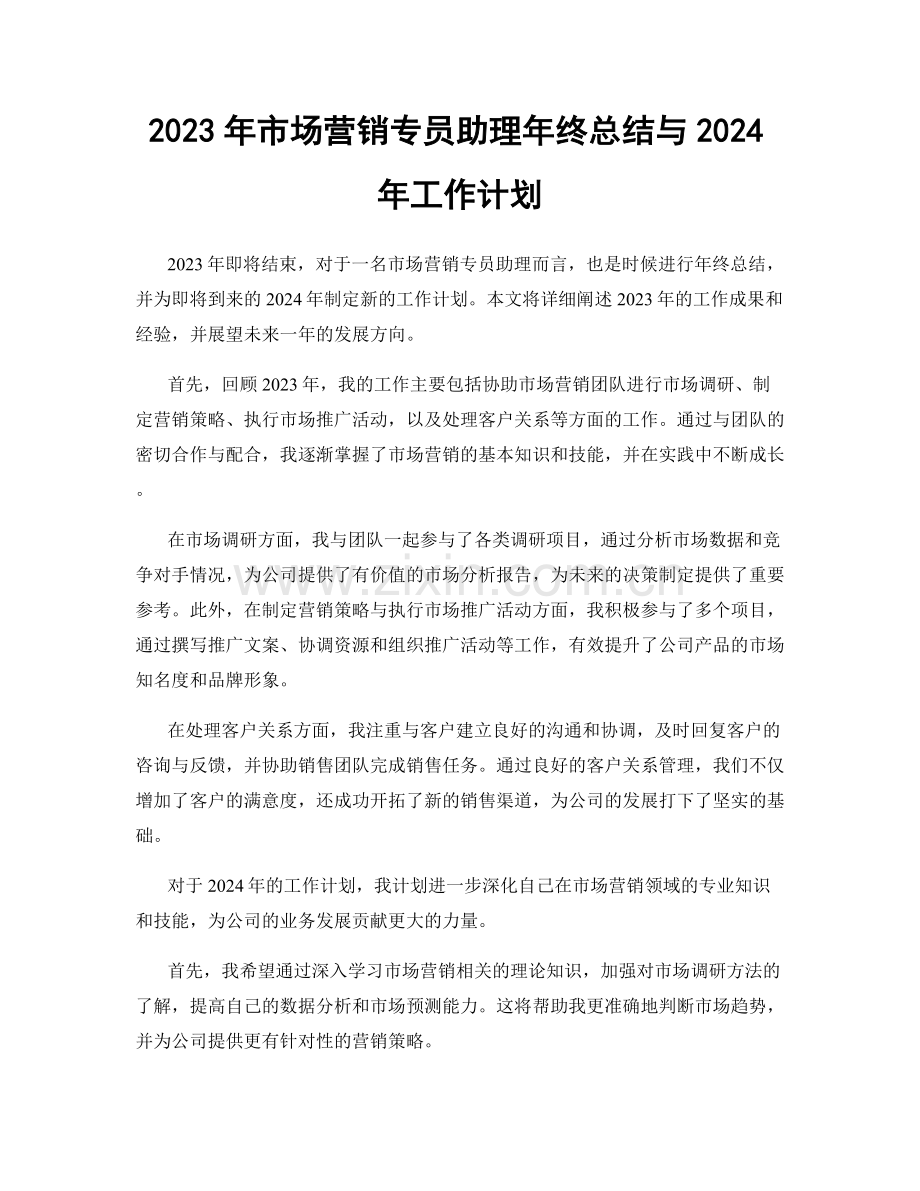 2023年市场营销专员助理年终总结与2024年工作计划.docx_第1页