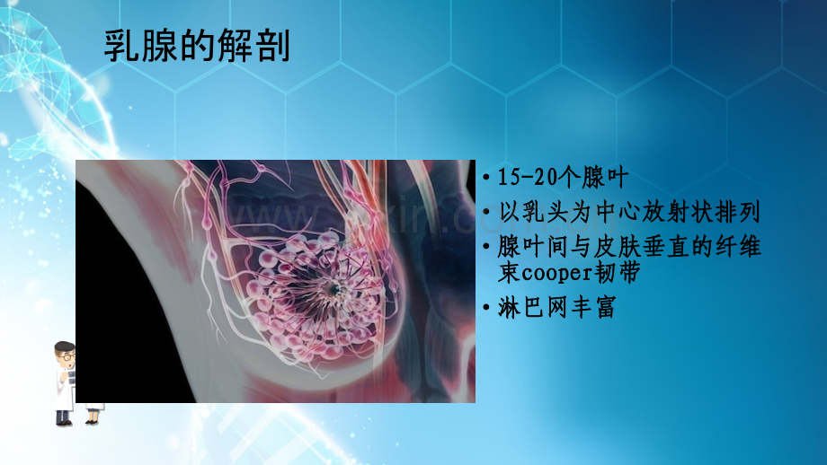 讲课(乳腺疾病)资料.ppt_第2页