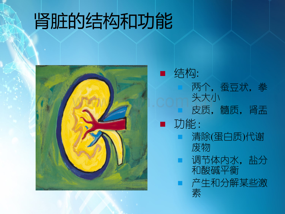 糖尿病肾病营养治疗.ppt_第3页