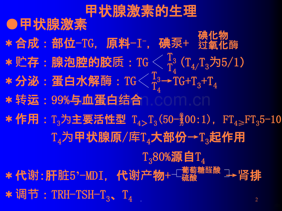 甲状腺功能减退症-NEW.ppt_第2页