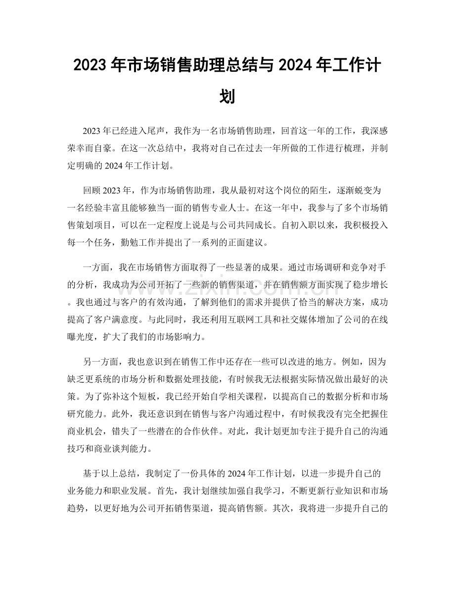 2023年市场销售助理总结与2024年工作计划.docx_第1页