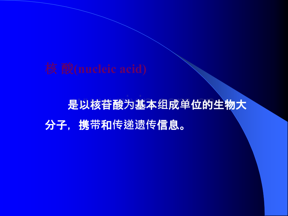 核酸结构与功能.ppt_第2页