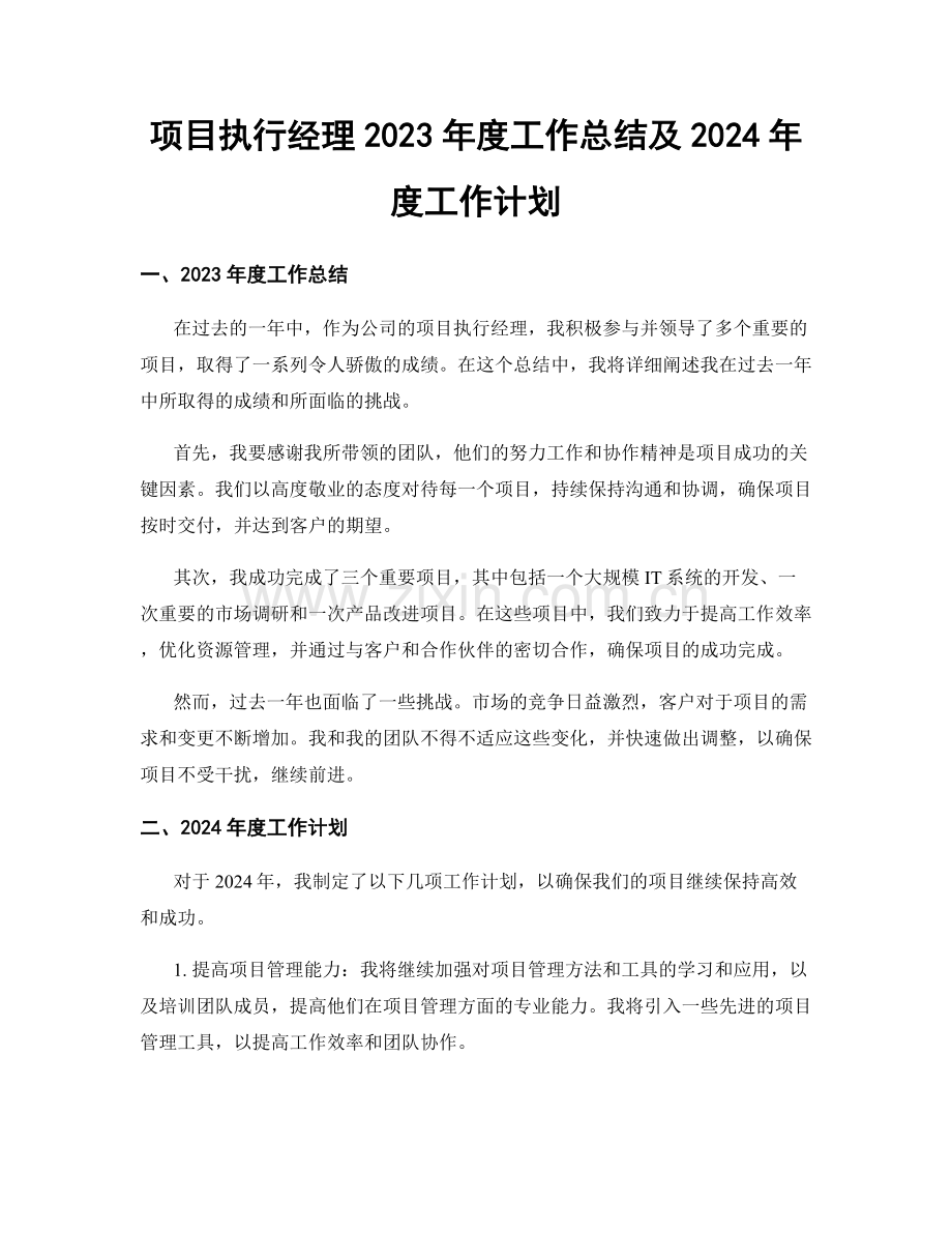 项目执行经理2023年度工作总结及2024年度工作计划.docx_第1页