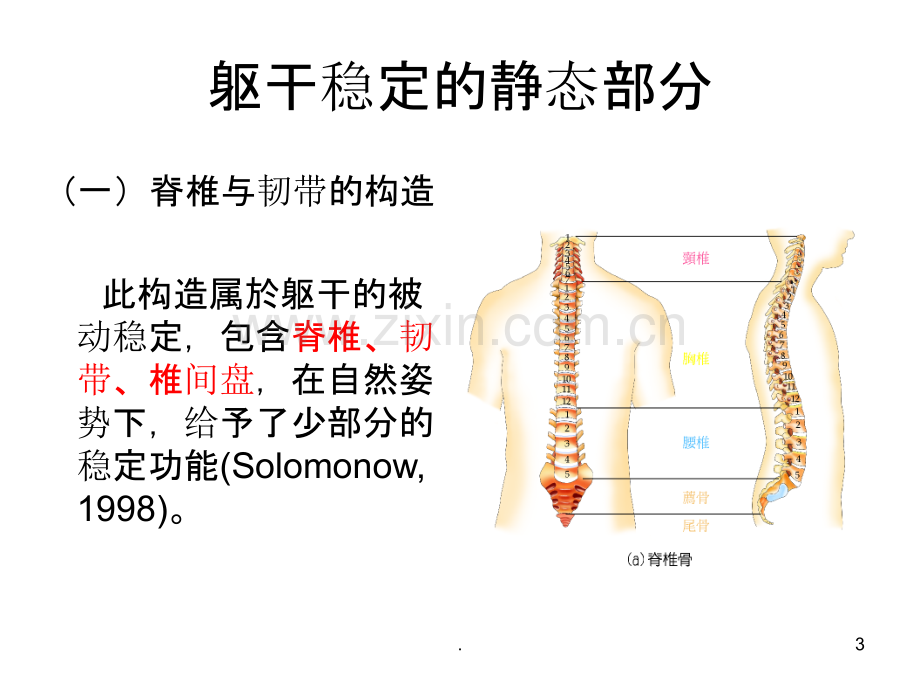 核心肌群功能与训练方式上.ppt_第3页