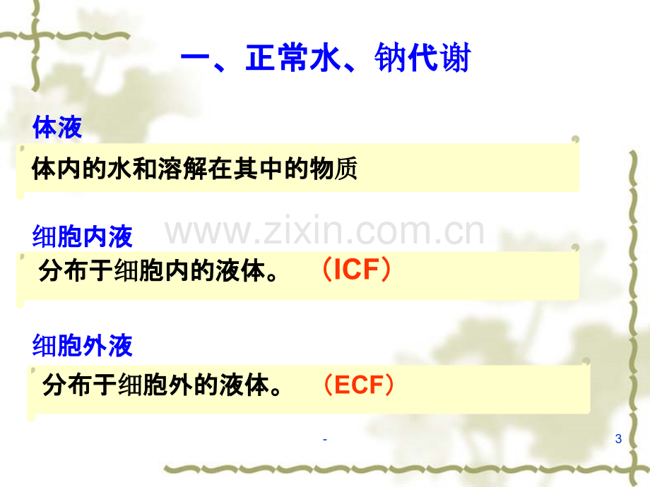 水钠代谢-临床本科.ppt_第3页