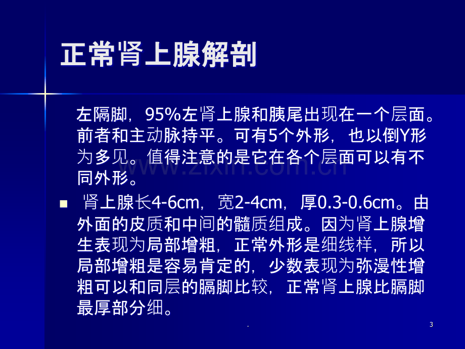 肾上腺疾病CT读片.ppt_第3页