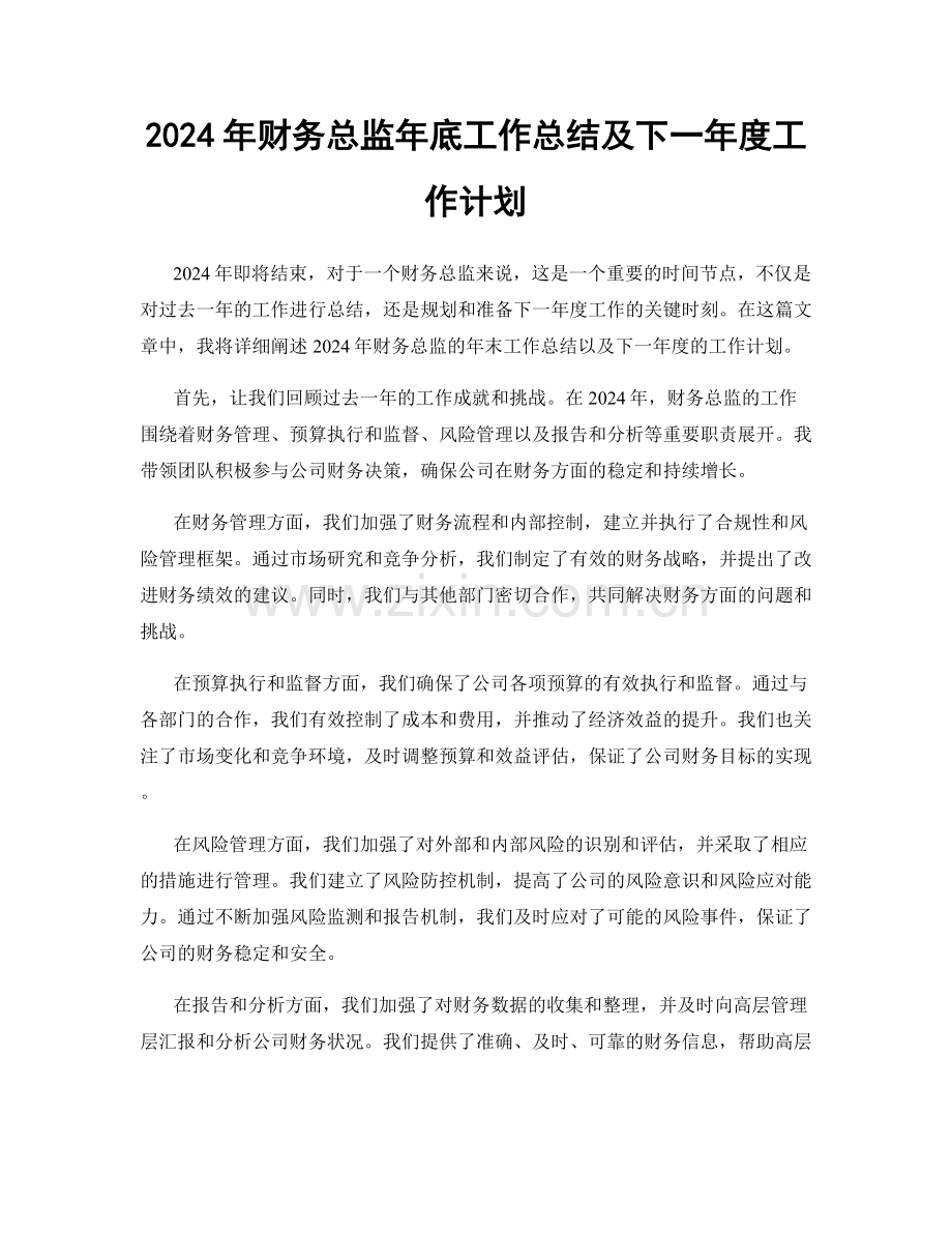 2024年财务总监年底工作总结及下一年度工作计划.docx_第1页