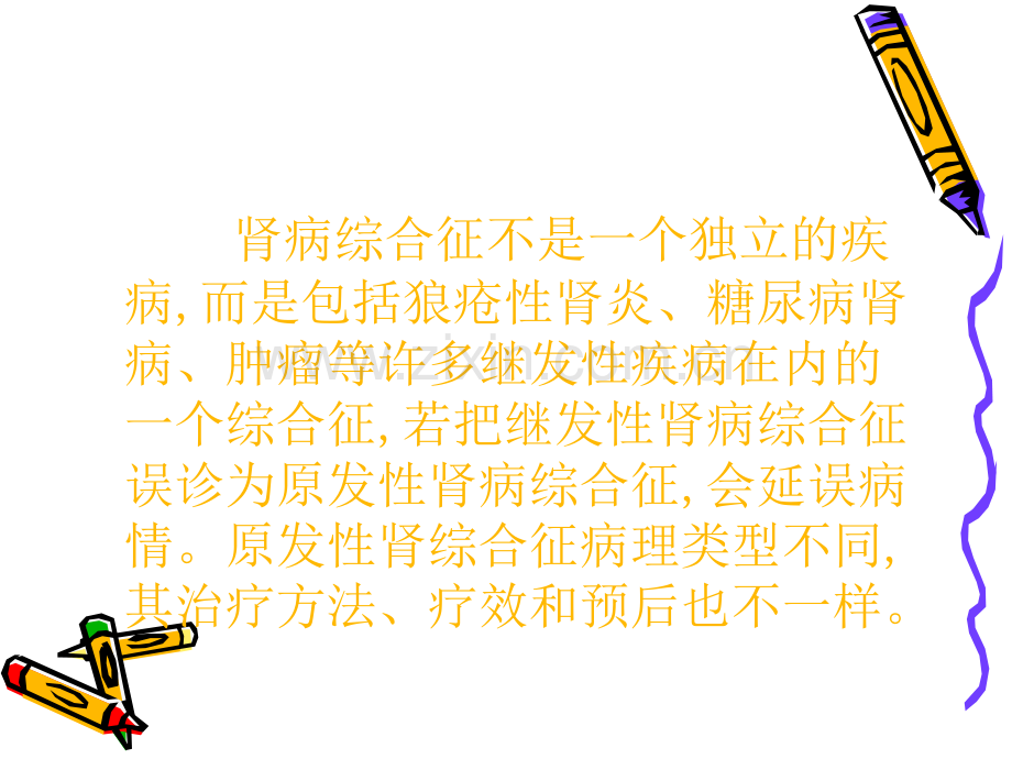 肾病综合征的诊断思路与技巧.ppt_第2页