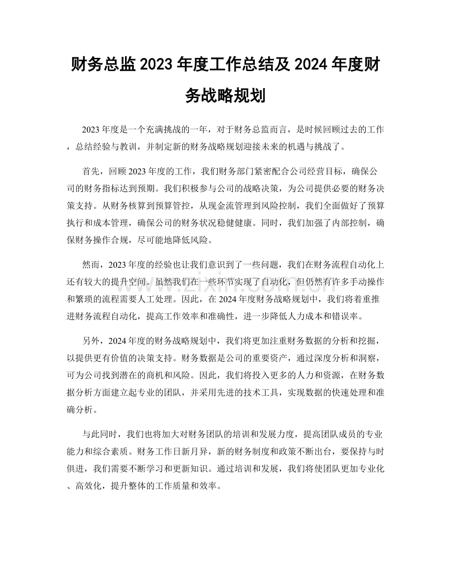 财务总监2023年度工作总结及2024年度财务战略规划.docx_第1页