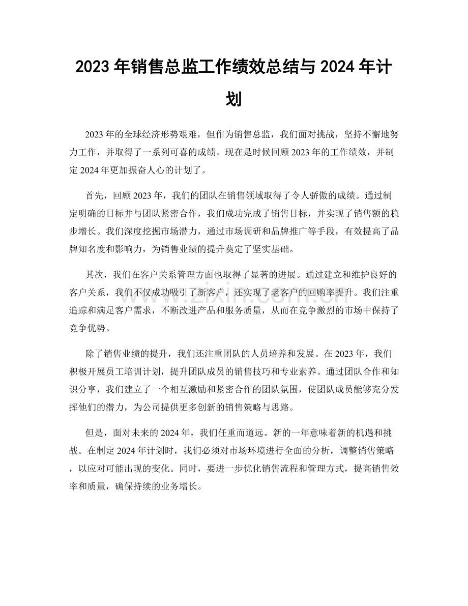 2023年销售总监工作绩效总结与2024年计划.docx_第1页