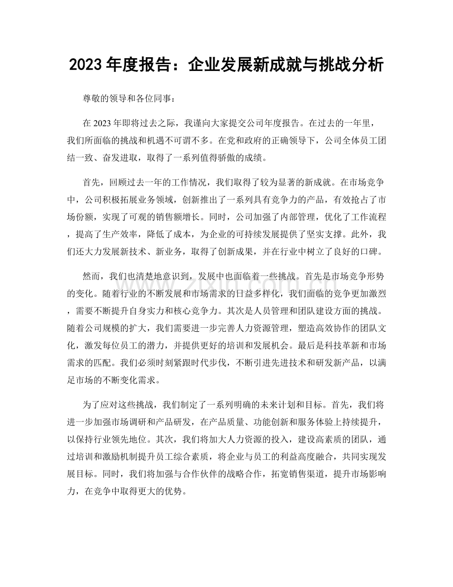 2023年度报告：企业发展新成就与挑战分析.docx_第1页