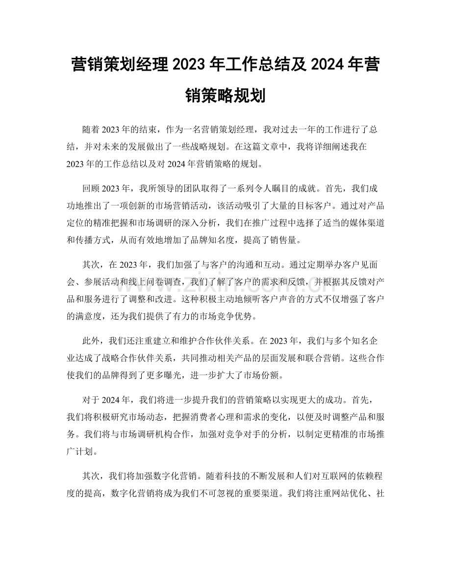 营销策划经理2023年工作总结及2024年营销策略规划.docx_第1页