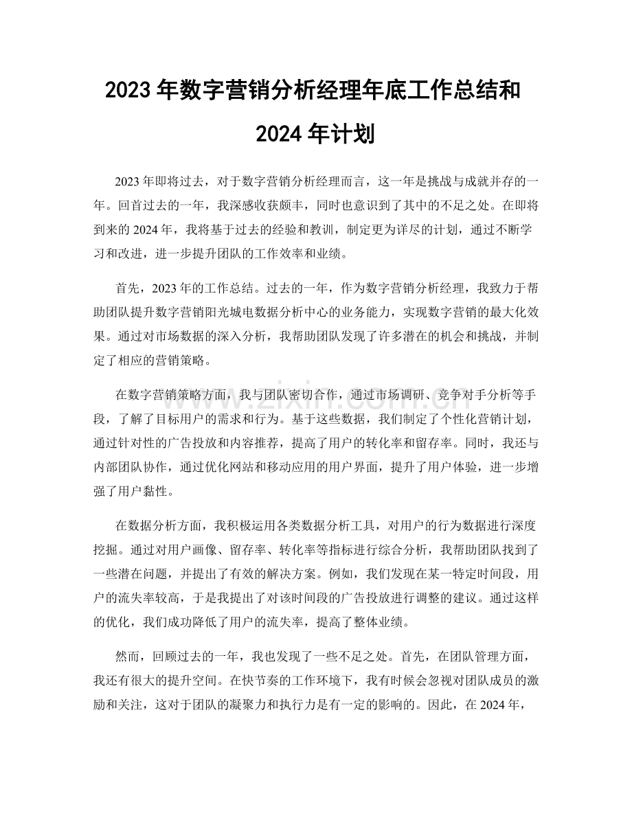 2023年数字营销分析经理年底工作总结和2024年计划.docx_第1页