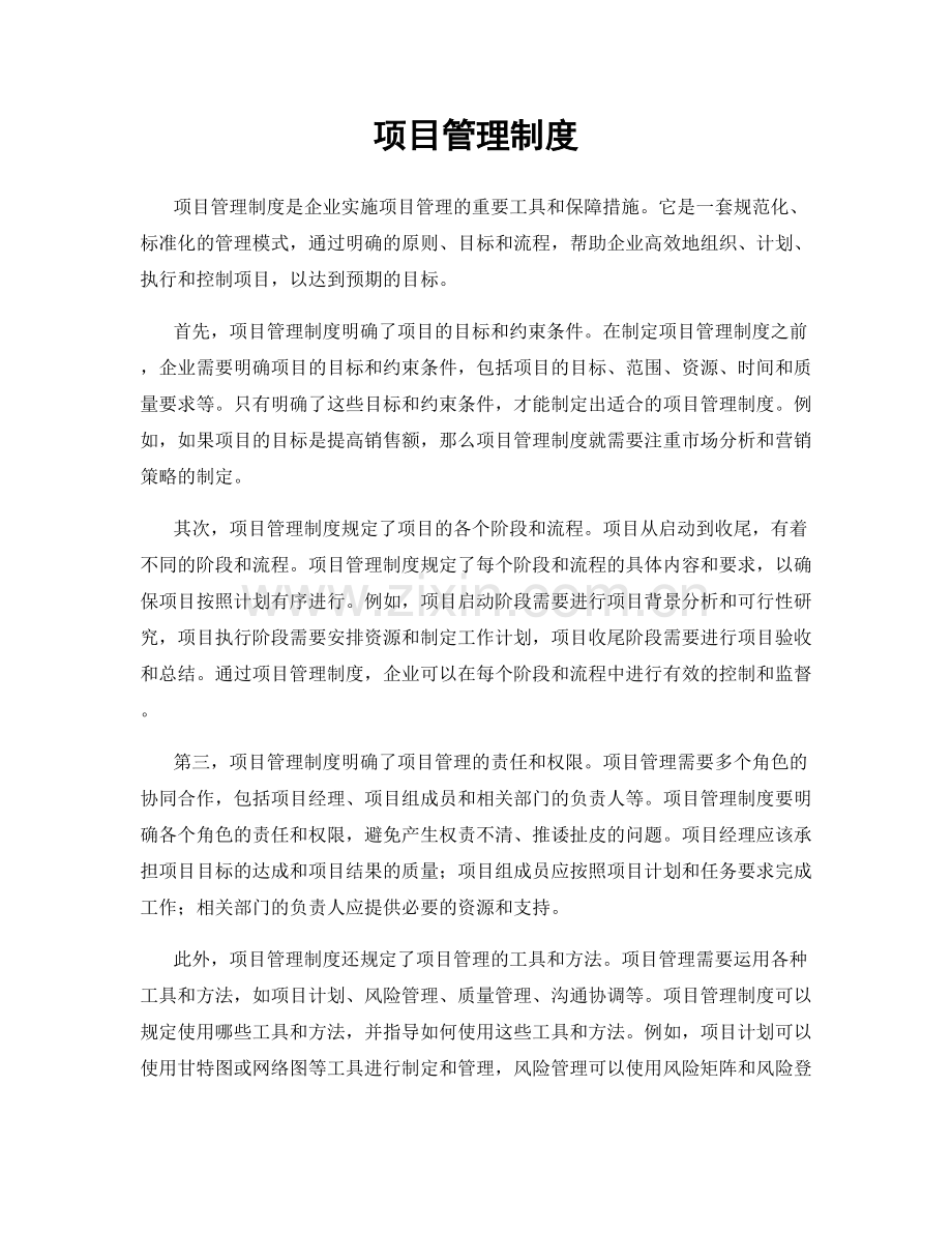 项目管理制度.docx_第1页