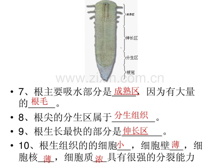 初中生物教材图片资料.pptx_第3页