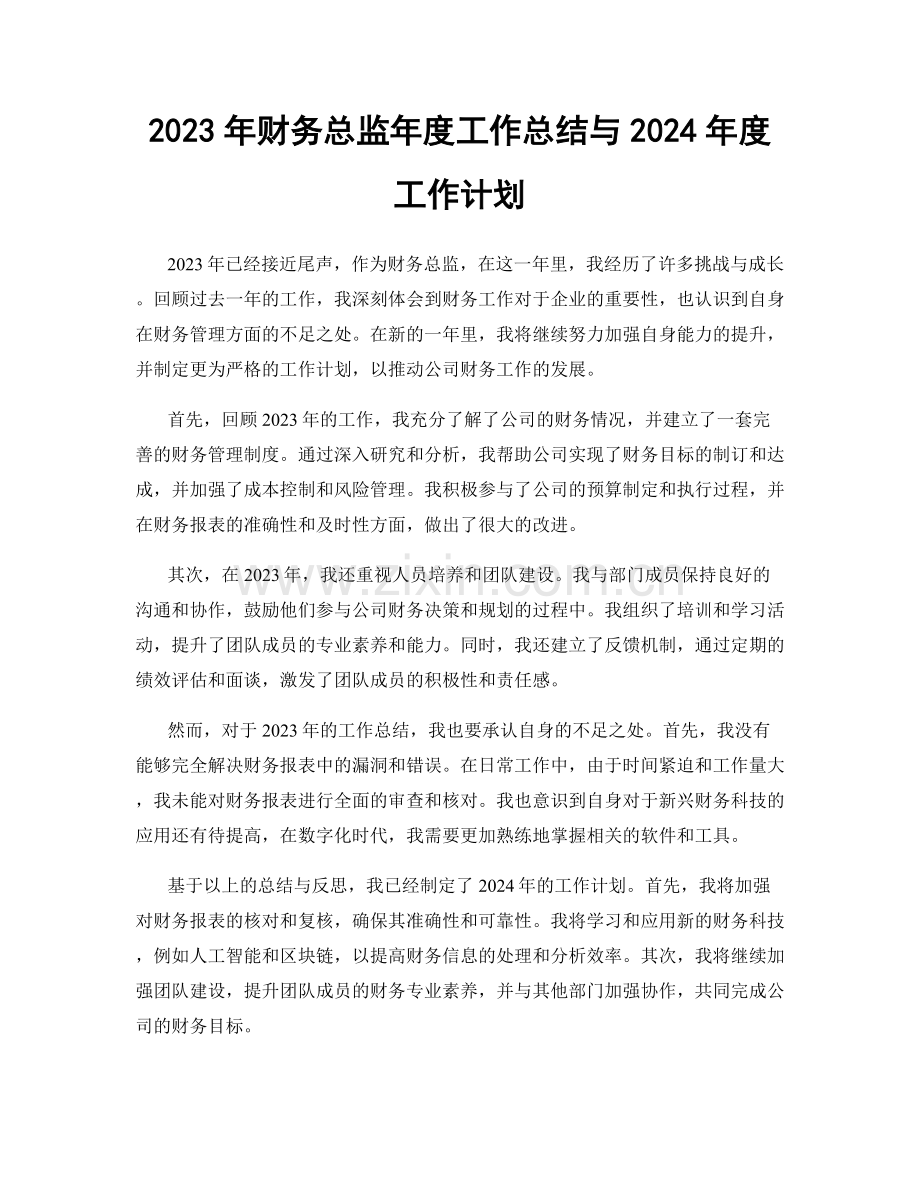 2023年财务总监年度工作总结与2024年度工作计划.docx_第1页