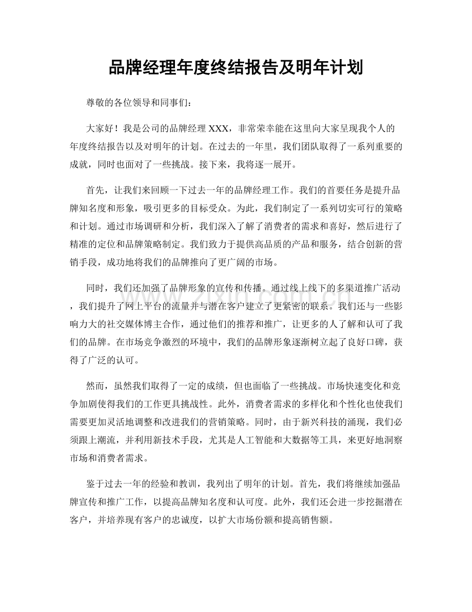 品牌经理年度终结报告及明年计划.docx_第1页