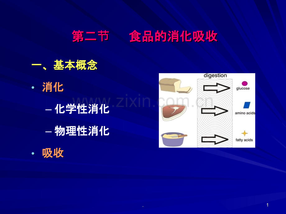 江南大学食品营养学(1).ppt_第1页