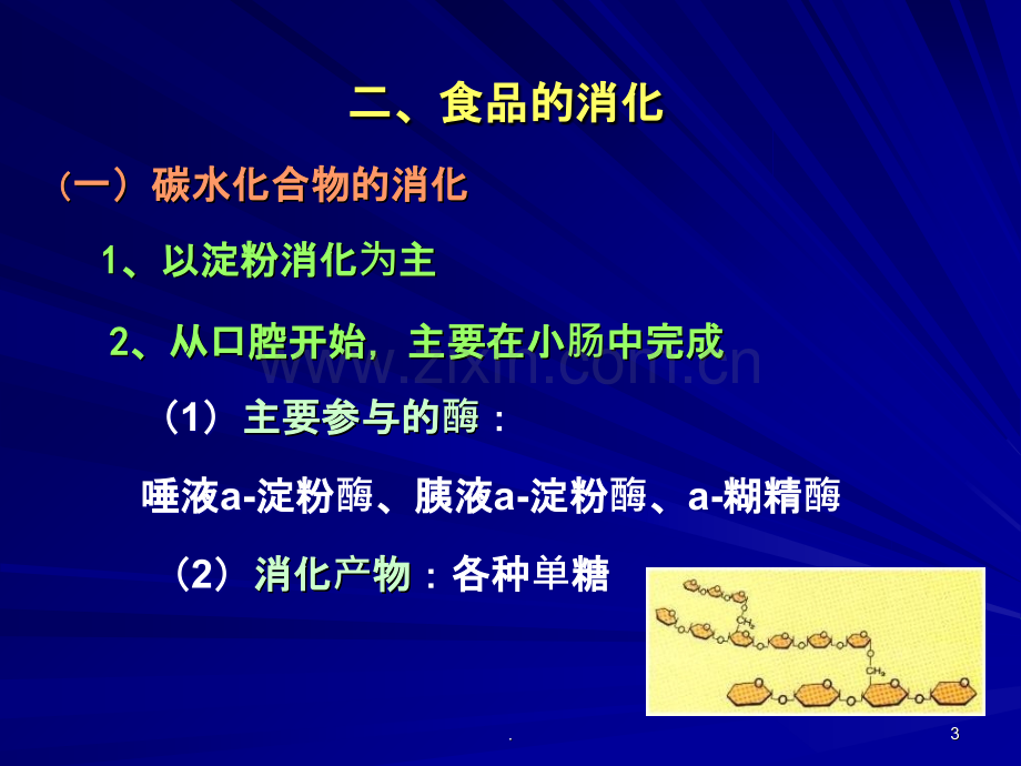 江南大学食品营养学(1).ppt_第3页