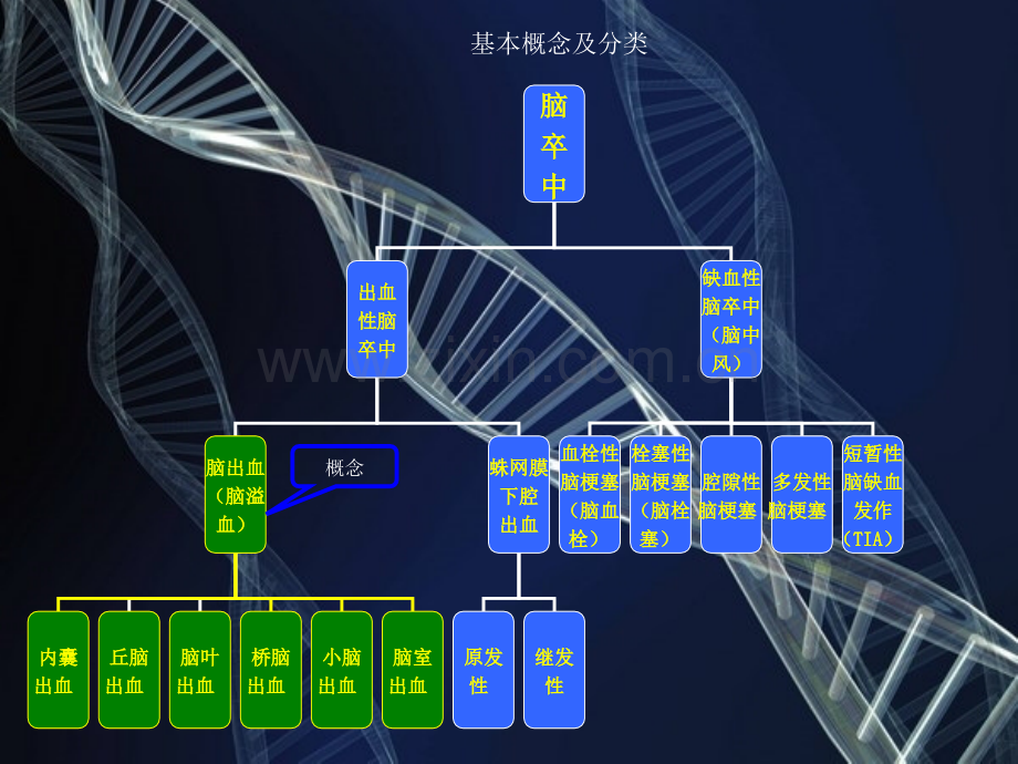 脑出血患者的治疗与康复训练.ppt_第3页