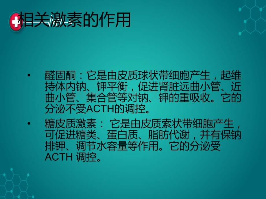 肾上腺的解剖.ppt_第3页