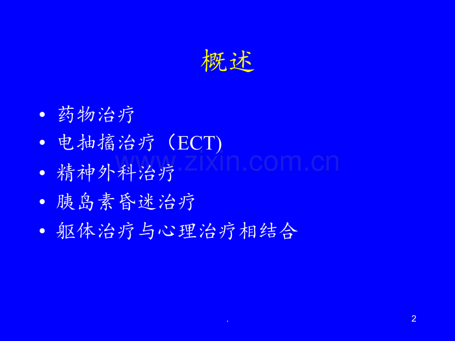 精神疾病的躯体与药物治疗.ppt_第2页