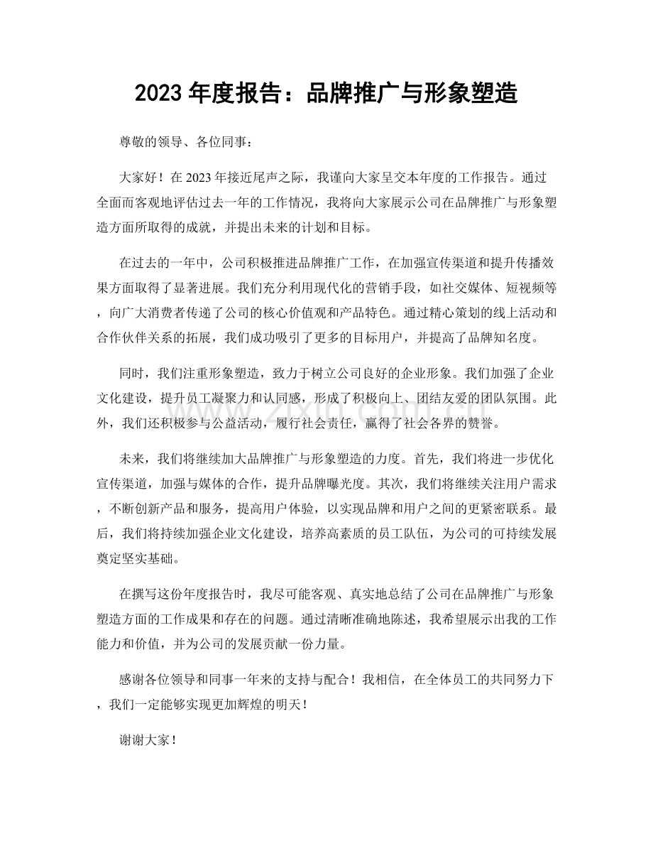 2023年度报告：品牌推广与形象塑造.docx_第1页