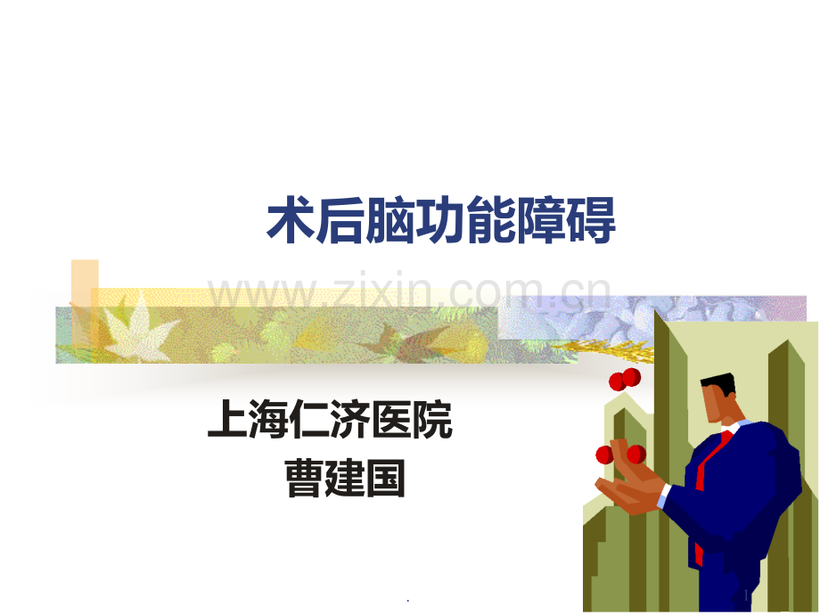 术后脑功能障碍.ppt_第1页