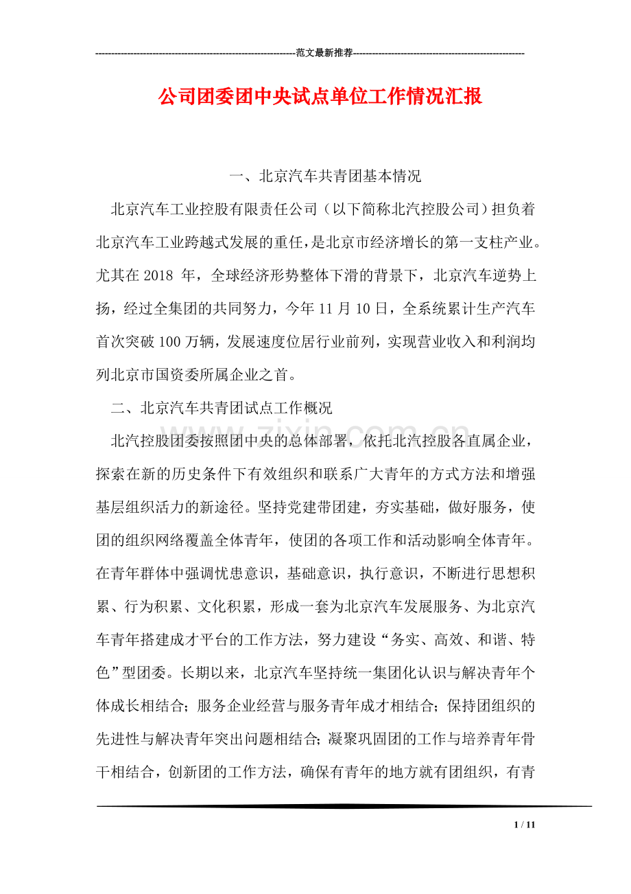 公司团委团中央试点单位工作情况汇报.doc_第1页