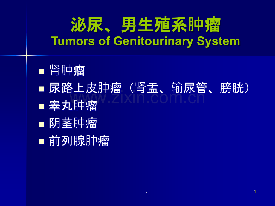 泌尿、男生殖系肿瘤.ppt_第1页