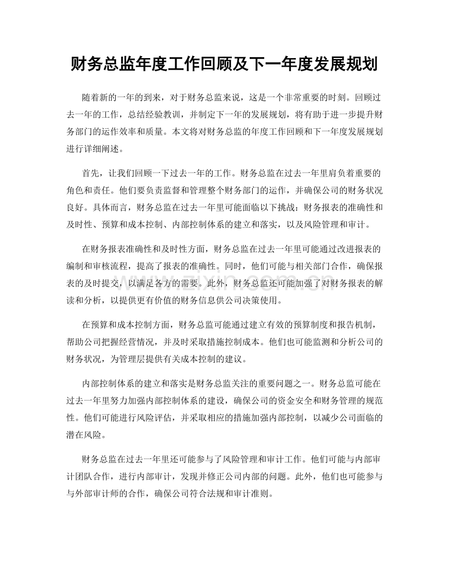 财务总监年度工作回顾及下一年度发展规划.docx_第1页