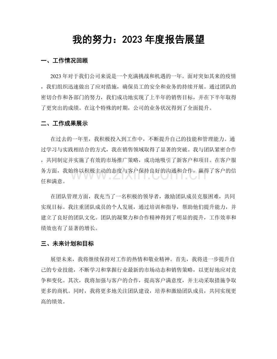 我的努力：2023年度报告展望.docx_第1页