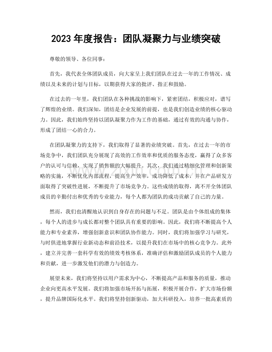 2023年度报告：团队凝聚力与业绩突破.docx_第1页