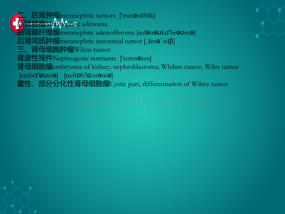 泌尿系统疾病英文单词.ppt_第2页