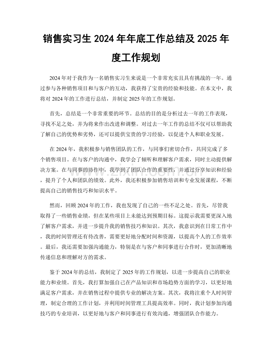 销售实习生2024年年底工作总结及2025年度工作规划.docx_第1页