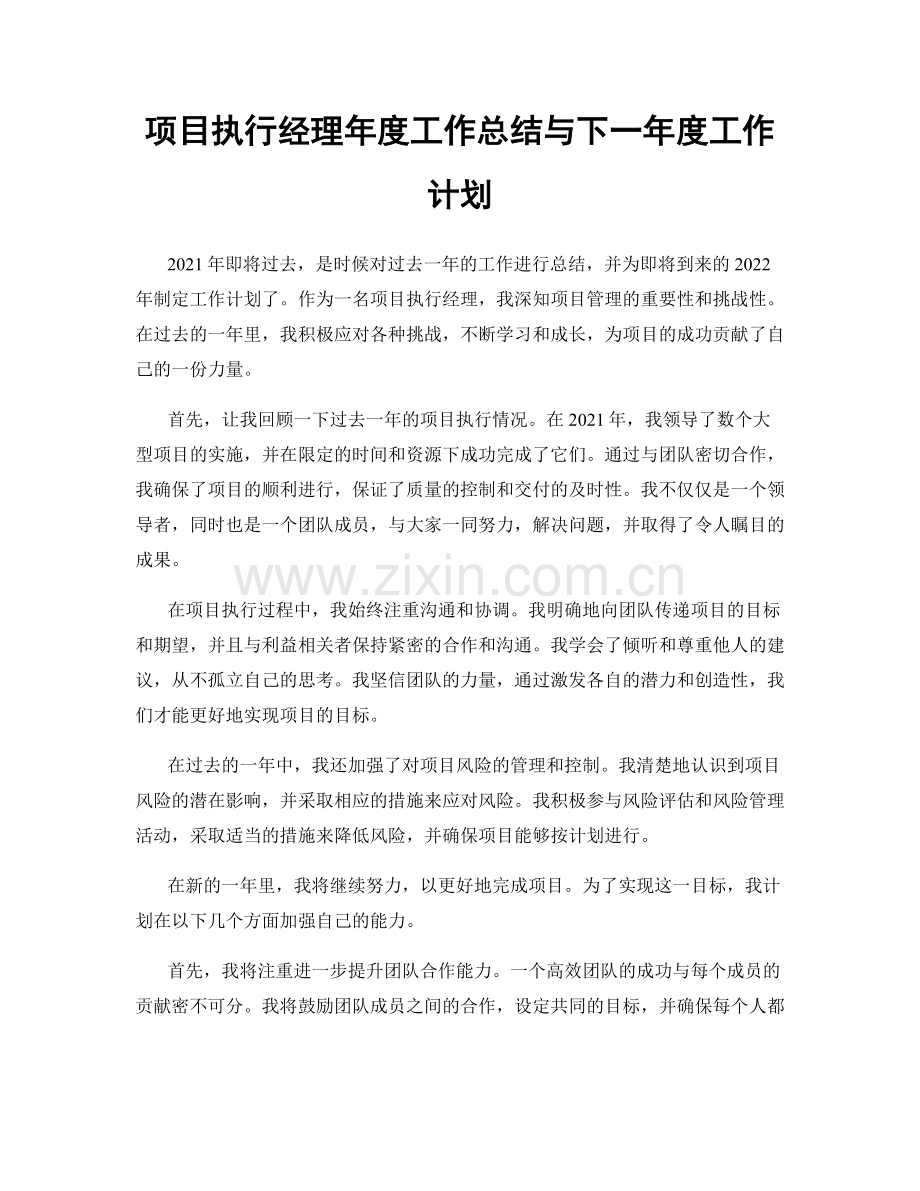 项目执行经理年度工作总结与下一年度工作计划.docx_第1页