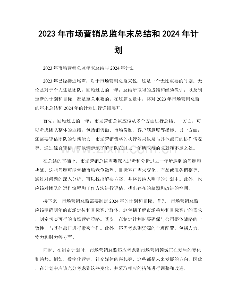 2023年市场营销总监年末总结和2024年计划.docx_第1页