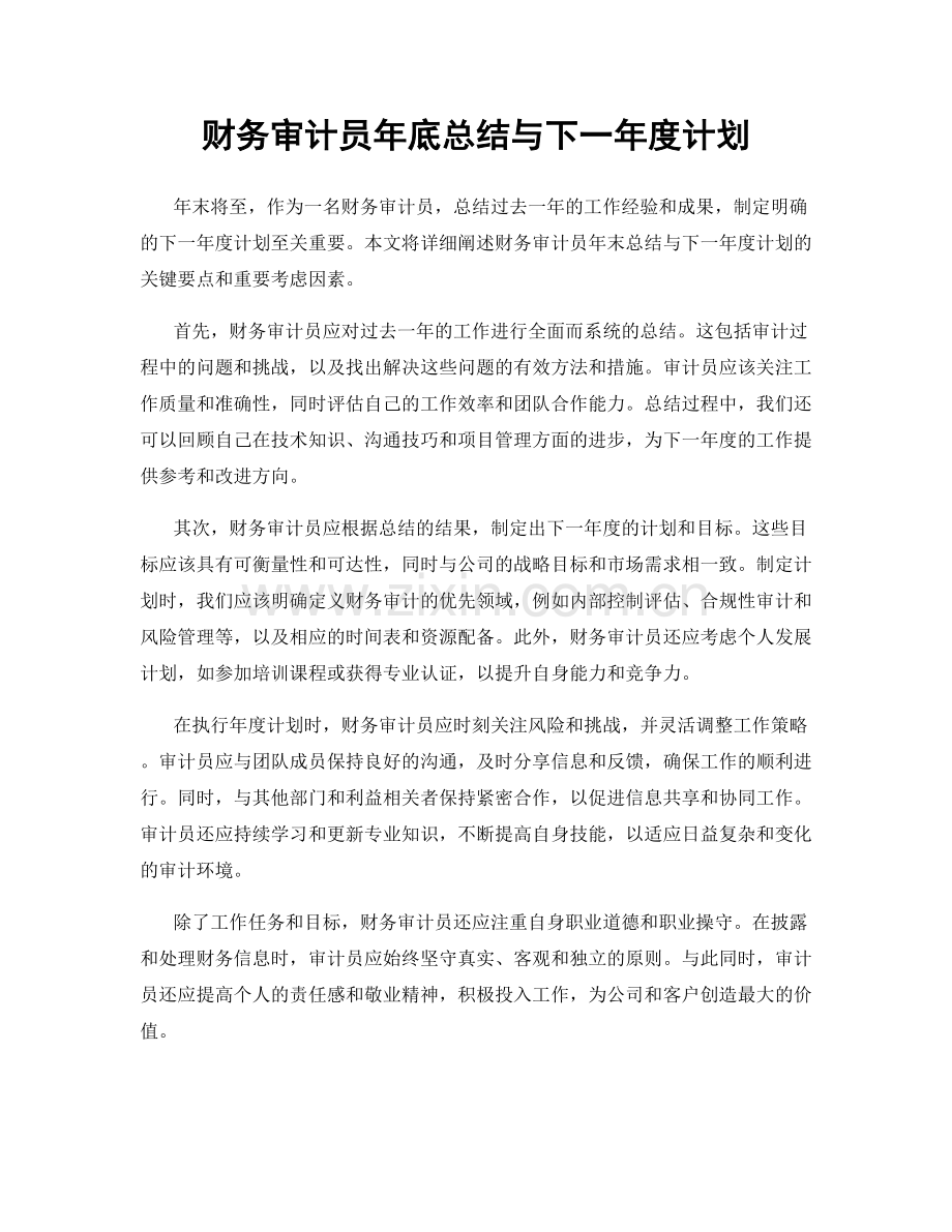 财务审计员年底总结与下一年度计划.docx_第1页