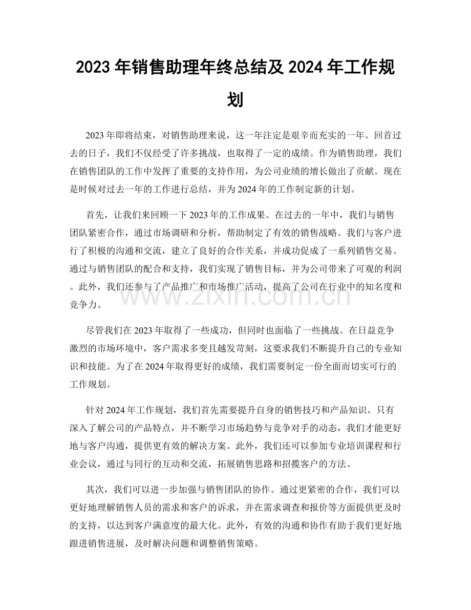 2023年销售助理年终总结及2024年工作规划.docx_第1页