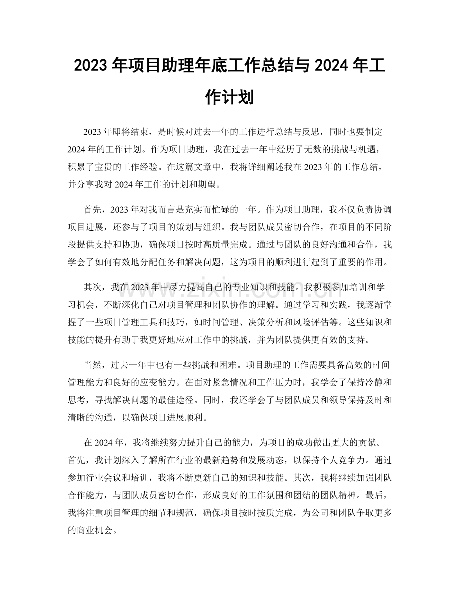 2023年项目助理年底工作总结与2024年工作计划.docx_第1页