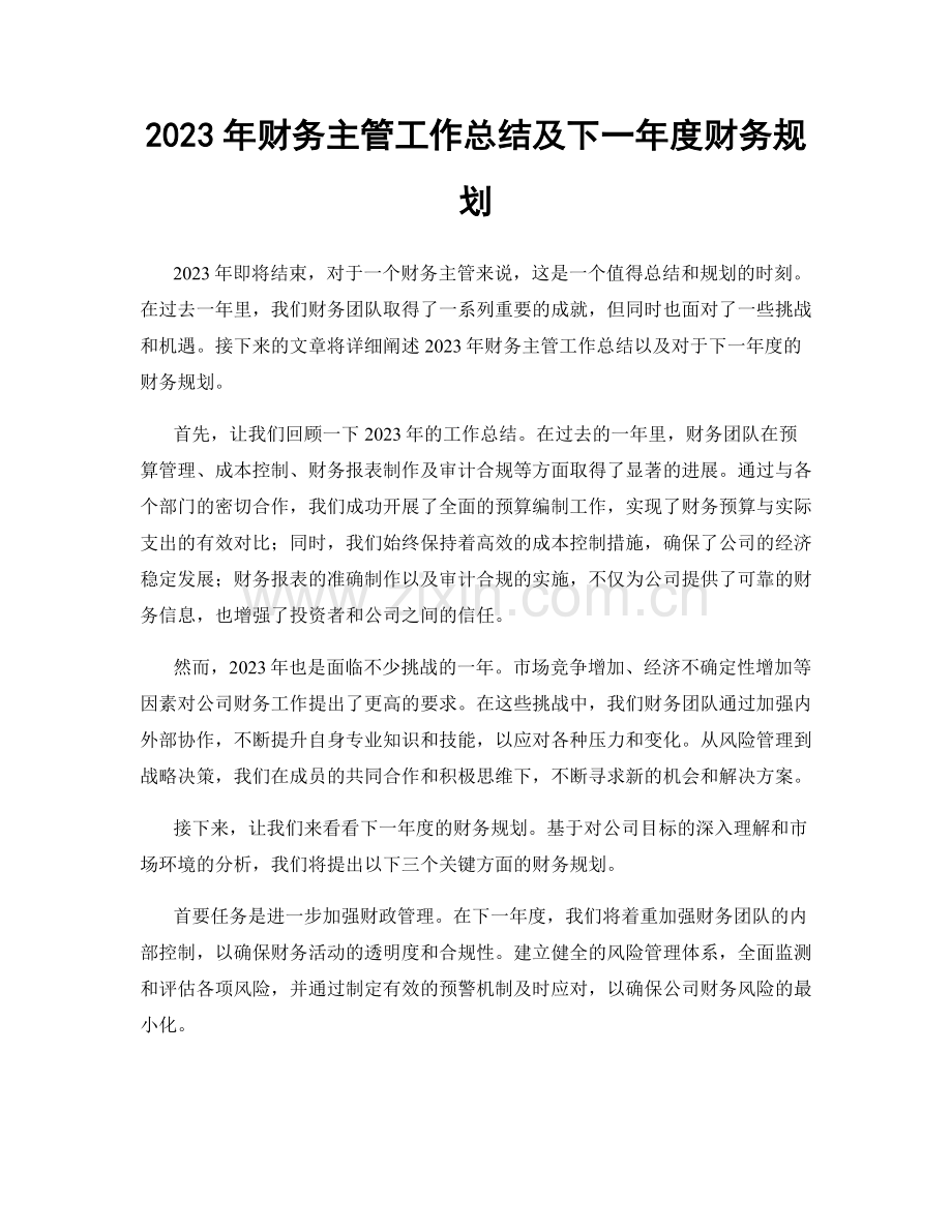 2023年财务主管工作总结及下一年度财务规划.docx_第1页