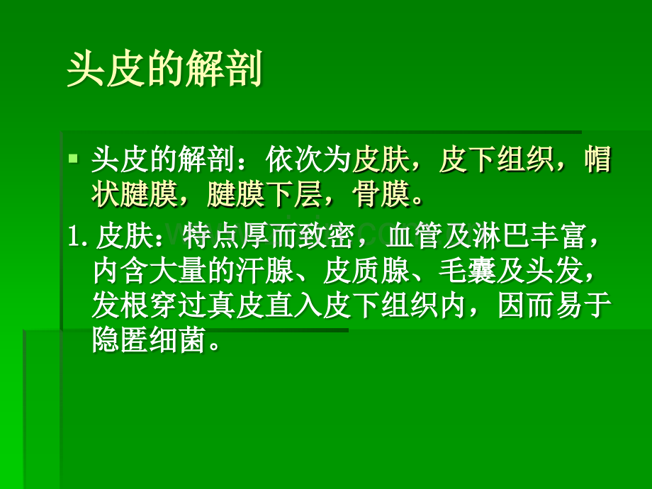 神经外科解剖.ppt_第2页