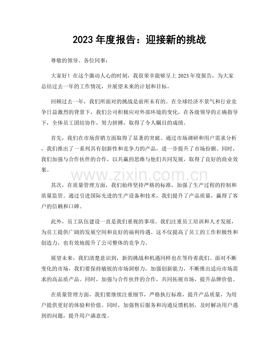 2023年度报告：迎接新的挑战.docx_第1页