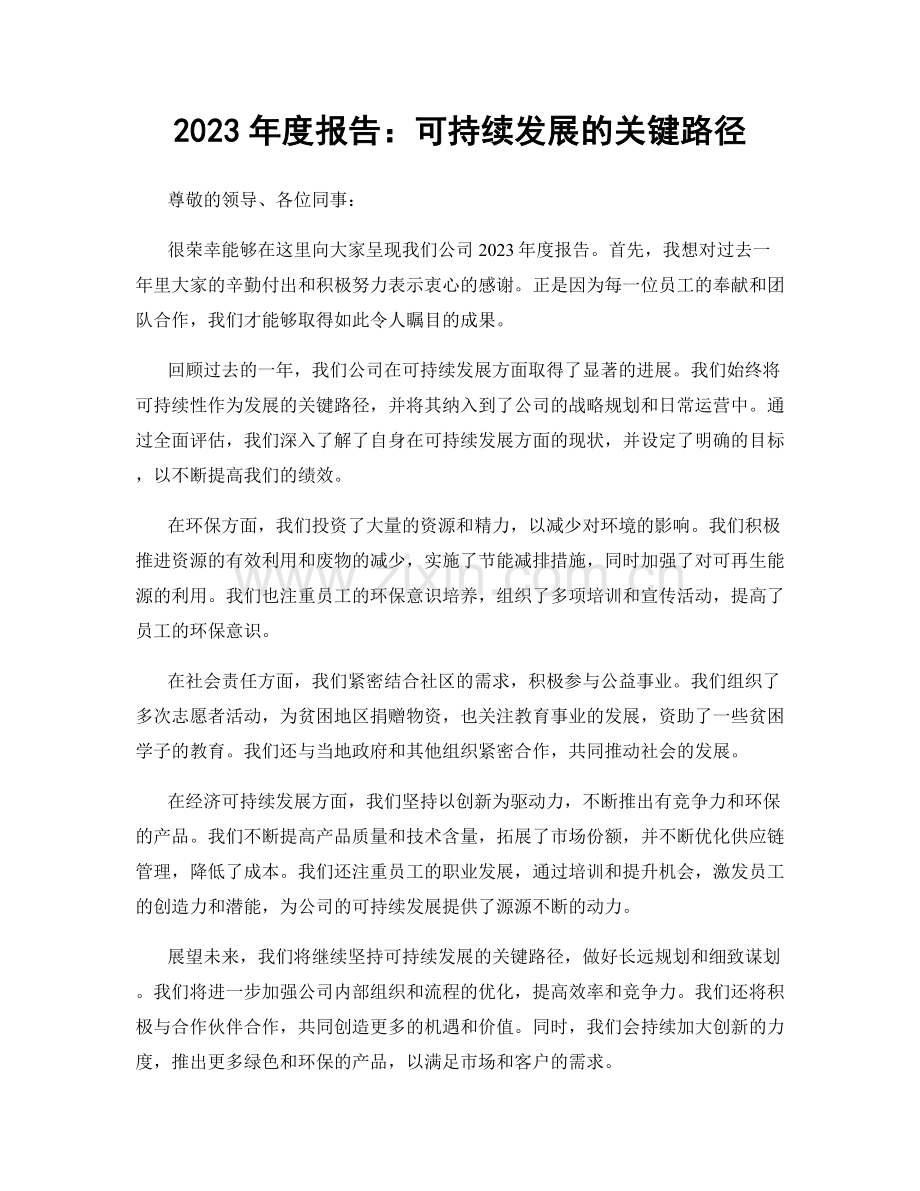 2023年度报告：可持续发展的关键路径.docx_第1页