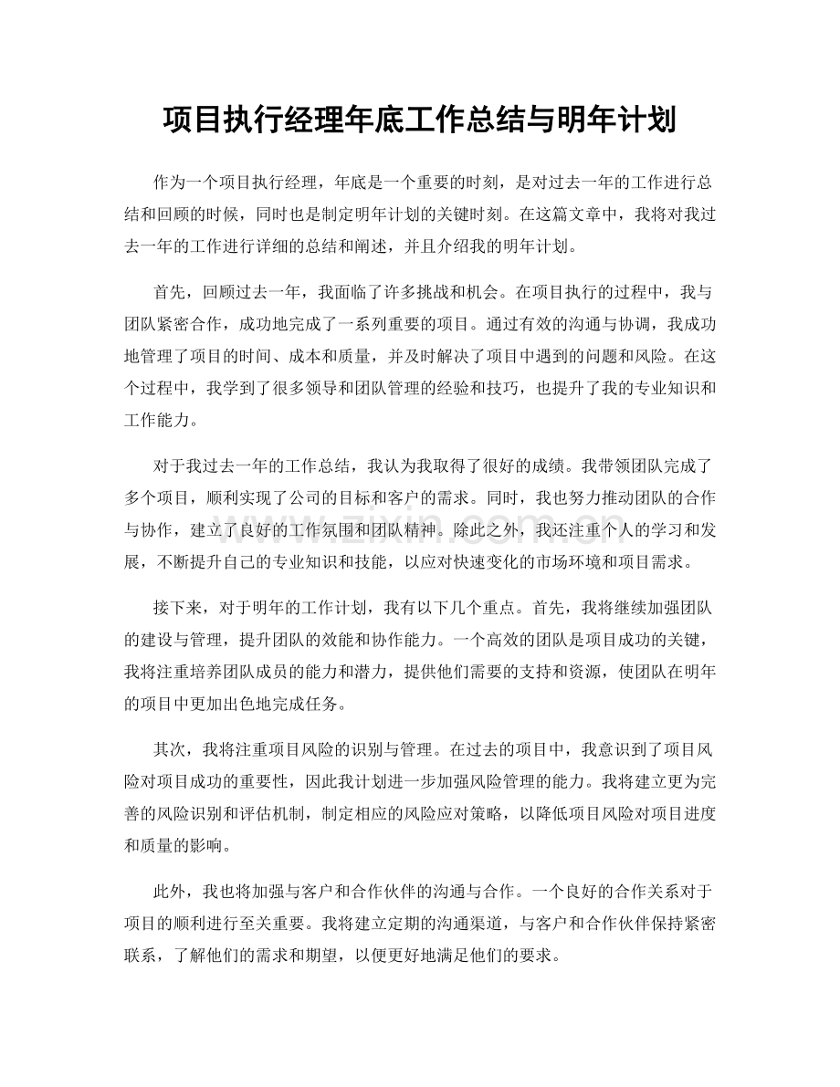 项目执行经理年底工作总结与明年计划.docx_第1页