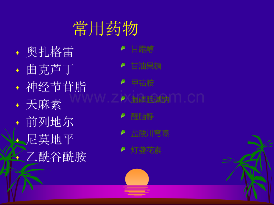 神经内科常用药物解析.ppt_第3页