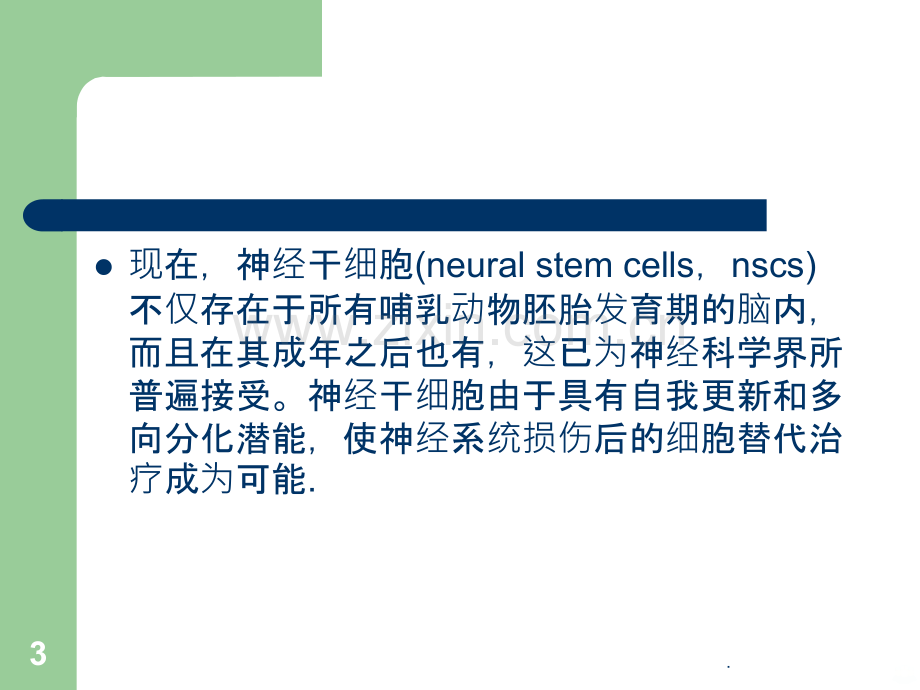 神经干细胞及其应用研究新进展.ppt_第3页