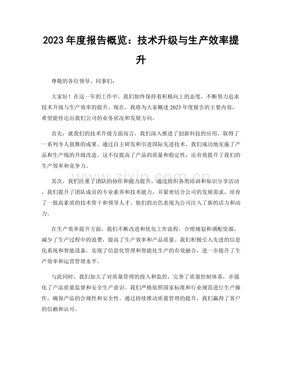 2023年度报告概览：技术升级与生产效率提升.docx_第1页